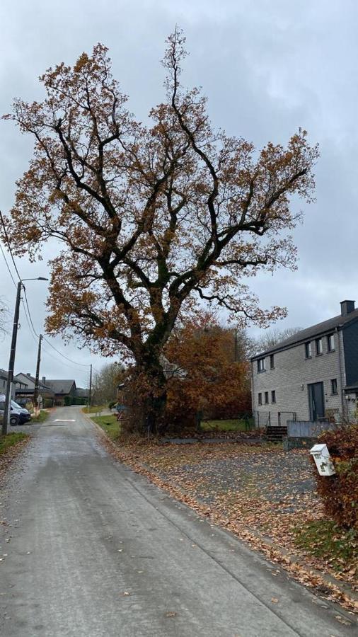 Le Gite Du Vieux Chene Bertogne Buitenkant foto